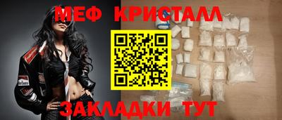 шишки Лесной