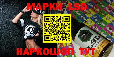 шишки Лесной