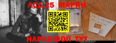шишки Лесной