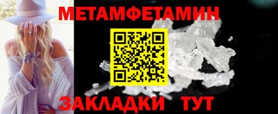 шишки Лесной