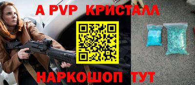 шишки Лесной