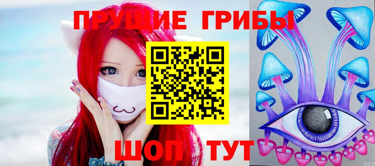 Дедовск  цена наркотик  Вход с VPN  Псилоцибиновые грибы Psilocybe 